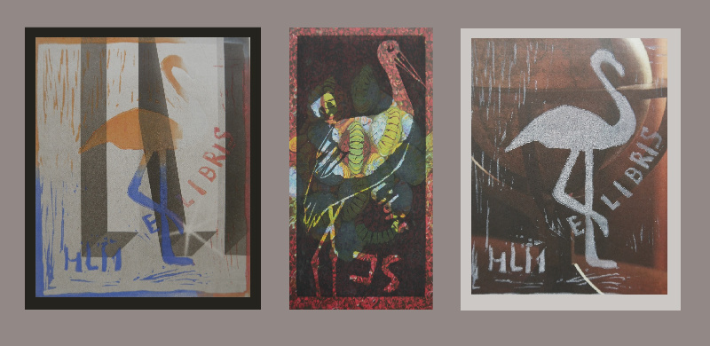 DSCI774605   Kopie (3)